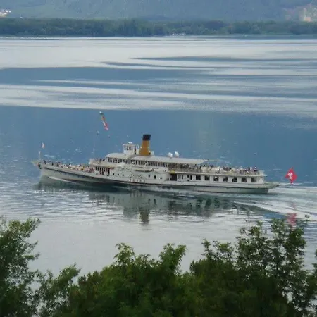 Montreux Center With View And Direct Access