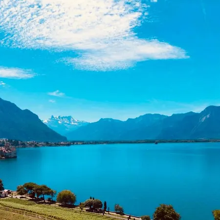 Montreux Center With View And Direct Access *