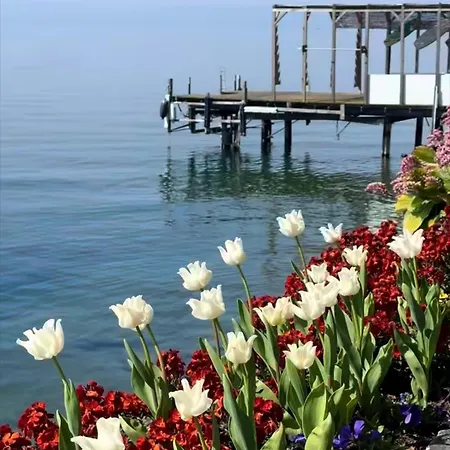 Montreux Center With View And Direct Access