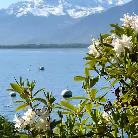 Montreux Center With View And Direct Access Apartment