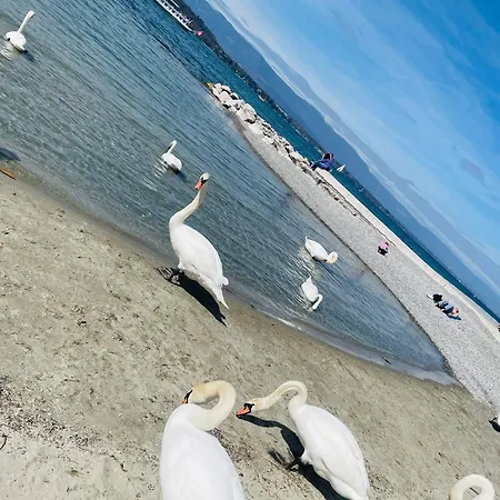 Appartamento Montreux Center With View And Direct Access Veytaux