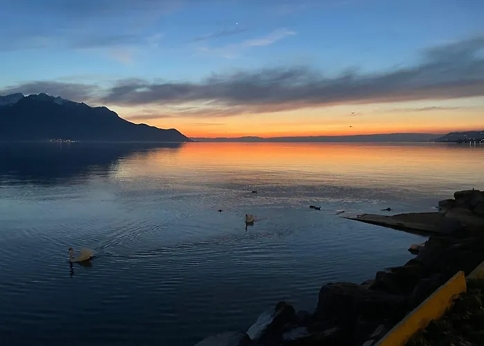 Appartement Montreux Center With View And Direct Access