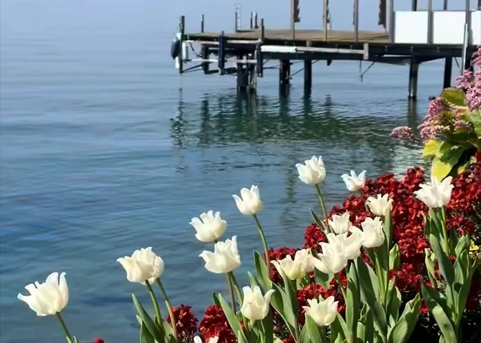 Montreux Center With View And Direct Access