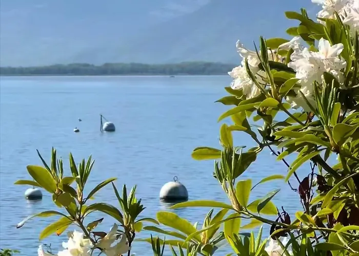 Montreux Center With View And Direct Access Appartement