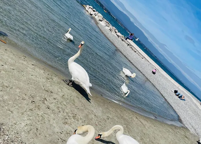 Appartement Montreux Center With View And Direct Access Veytaux