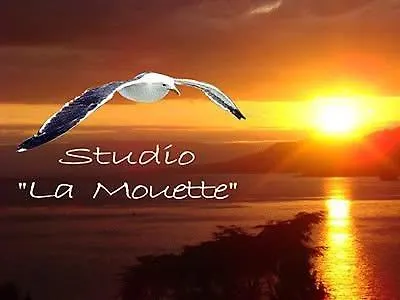 Montreux Center With View And Direct Access Veytaux