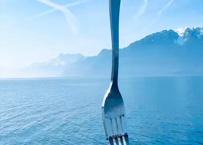 Appartement Montreux Center With View And Direct Access